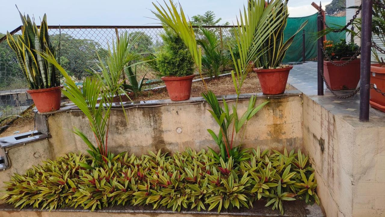 M Cube Service Apartments Sakleshpur Exterior foto